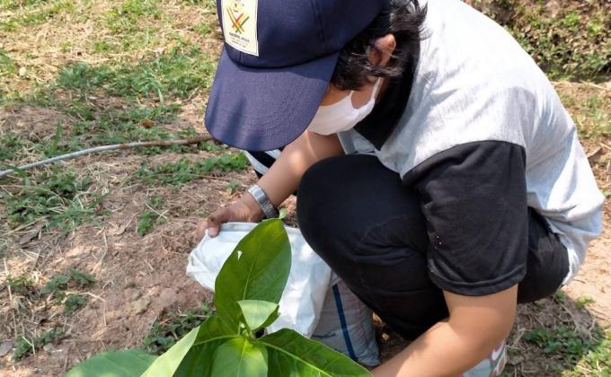 เพิ่มพื้นที่ป่าสร้างออกซิเจนให้ปอดเเข็งเเรงสู้โควิด19