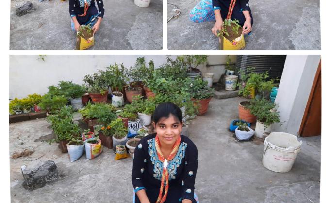 Sankalp - # Goorganic