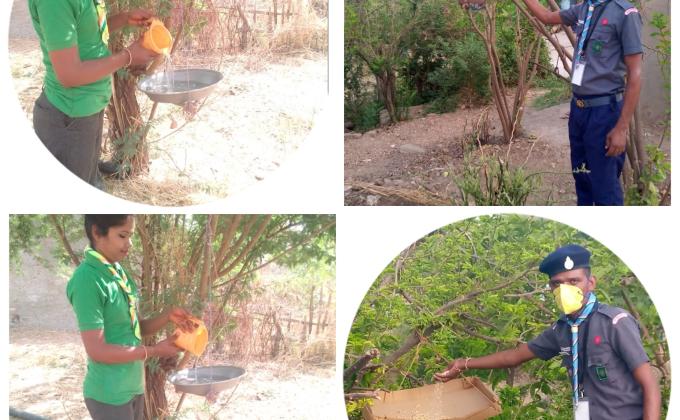 पक्षियों को पानी दाने देने का संकल्प