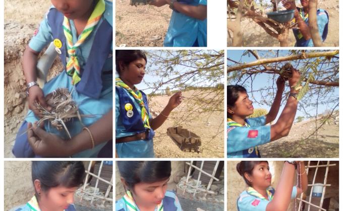 पची  दिवस ए