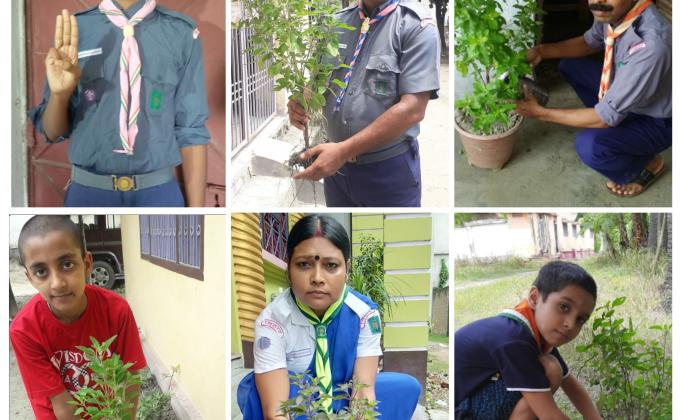 world Scout scarf day के मौके पर लगाया गया आप वृक्ष
