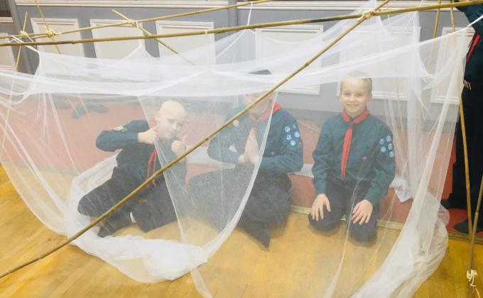 Scouts Against Malaria (SAM)