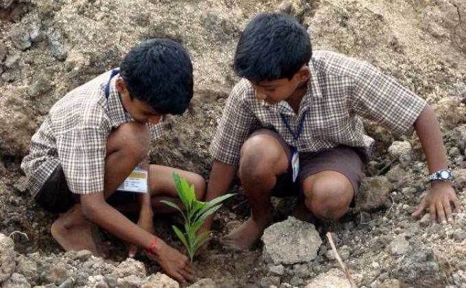 PLANT  TREE SAVE  LIFE
