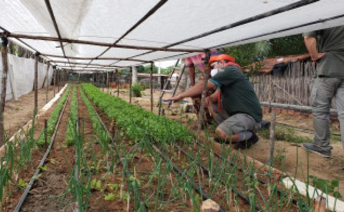 Projeto construção de horta comunitária