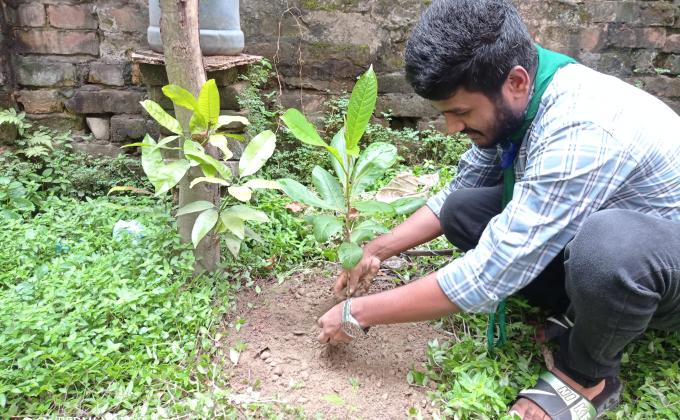 আন্তর্জাতিক শান্তি দিবস ২০২০ উপলক্ষে বৃক্ষ রোপণ কর্মসূচি। 