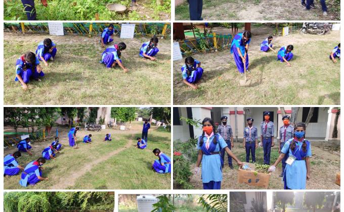 गंदगी भगाओ, स्वच्छ बनाओ