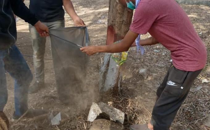 Plastic tide turners activity 