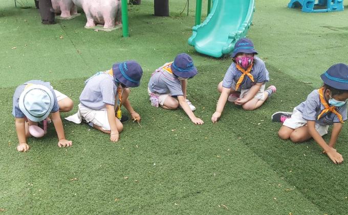 เก็บขยะ