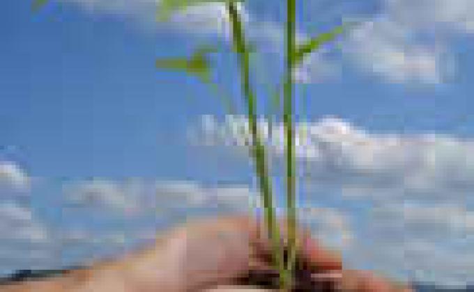 ECOSYSTEM RESTORATION