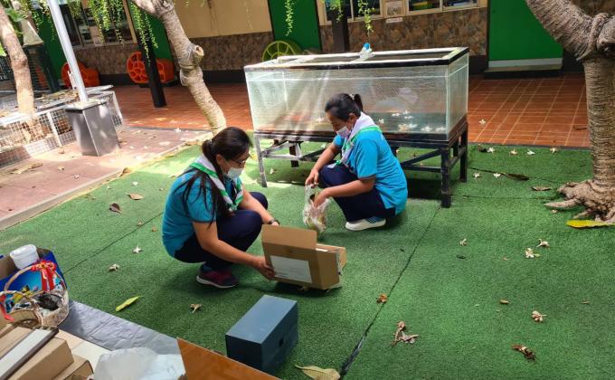 คัดแยกของ