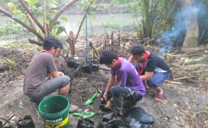 Mangrove Tree Planting