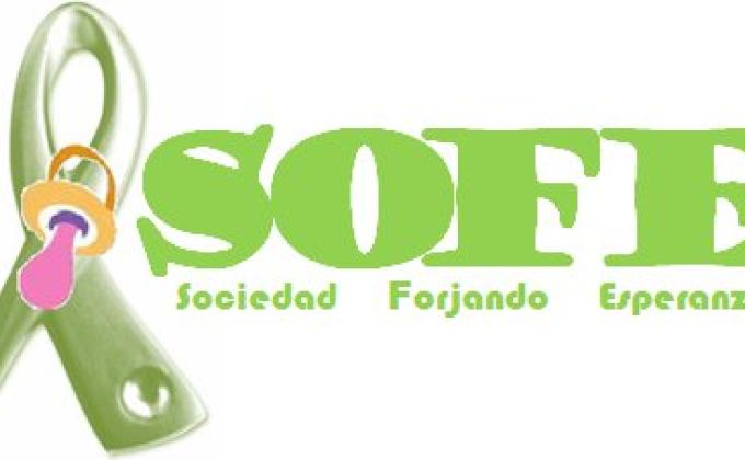 Tejiendo Pelucas SOFE