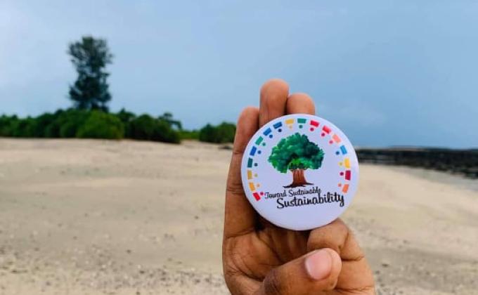 Planted Tree at Beside a newly built road near Markas Mosque area at Gazipur.