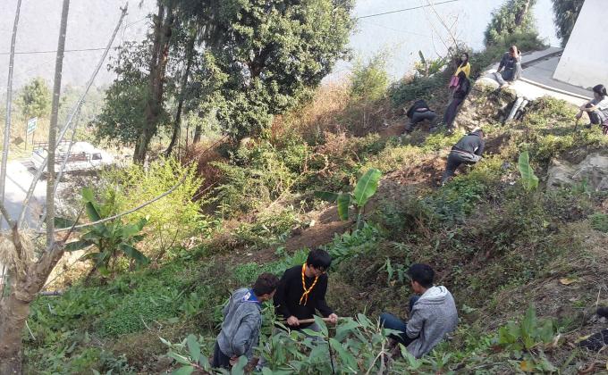 Sampling Plantation