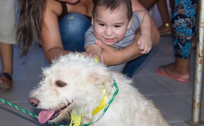 Feria de Adopción