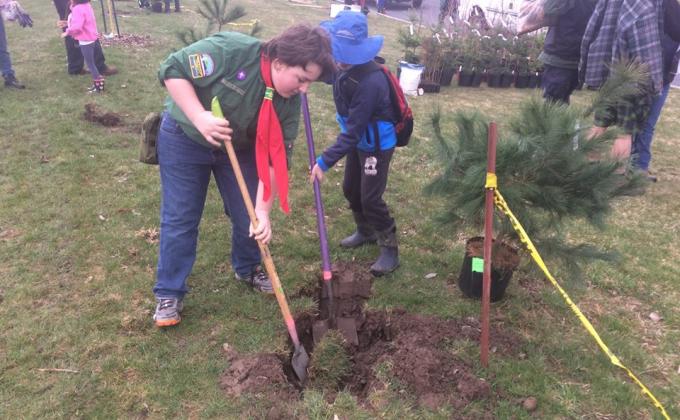 Tree Planting