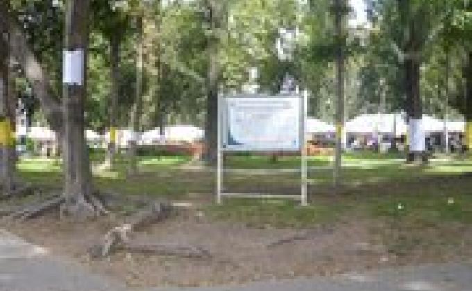 cuidado de arboles