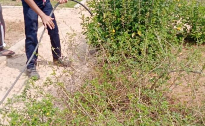 Tree Planting, Watering, Gardening & Social service project at Viharamahadevi park