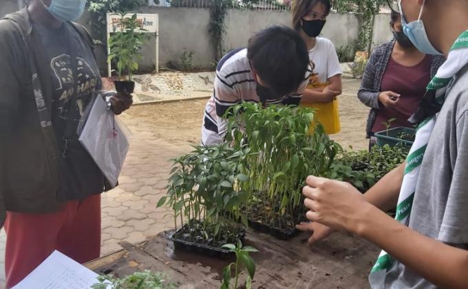 QUARANTANIM PROJECT: MOP Seed Pantry for the Community