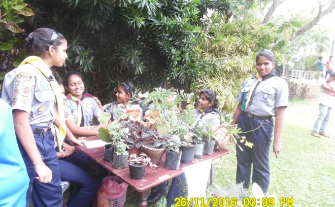Fundraising project – 17th Colombo St Andrew’s (Netherlee) Scout Group - Plant Sale