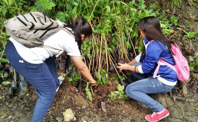 Tree Planting