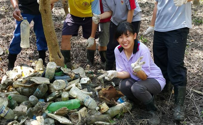 100 Mangrove Trees Planting and Seedling, Rubbish Cleaning