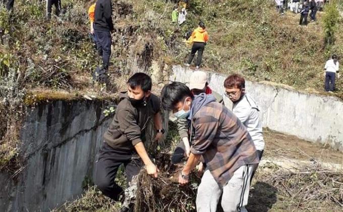 In Preparation of Planting Orchid Tree