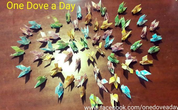 One Dove a Day,One Peace for the World.