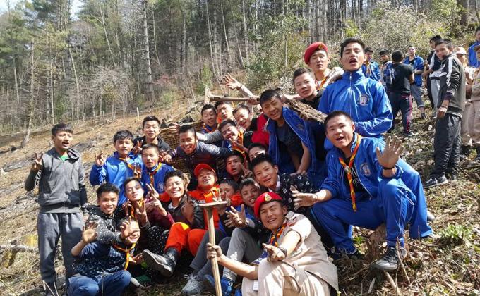 Tree Plantation 