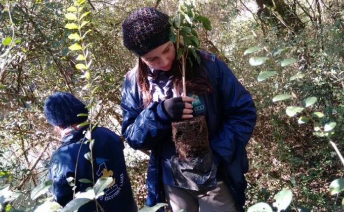 PLANTIO DE ÁRVORES FRUTÍFERAS NATIVAS NA MATA CILIAR DO RIO CAVEIRAS PARA DESENVOLVIMENTO DE FAUNA E FLORA REGIONAL