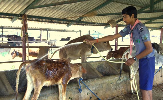 GO-SEVA FOR DEVELOP THE COMMUNITY