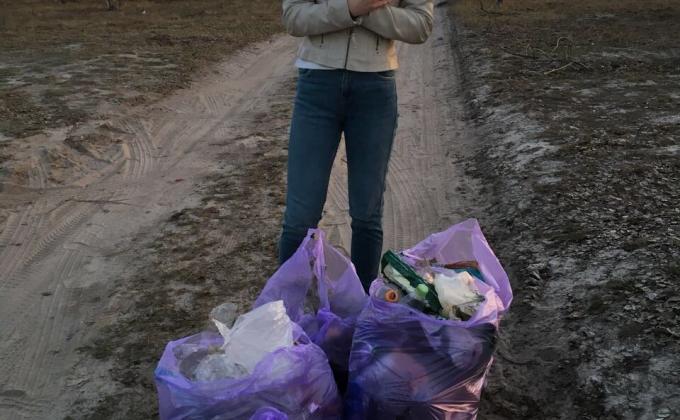 The clean-up in the woods