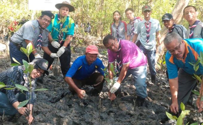 Save Our Shores (S.O.S) 500 Mangrove Trees Planting