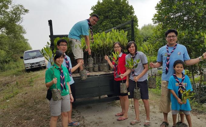 100 Mangrove Trees Planting and Mural Art Drawing