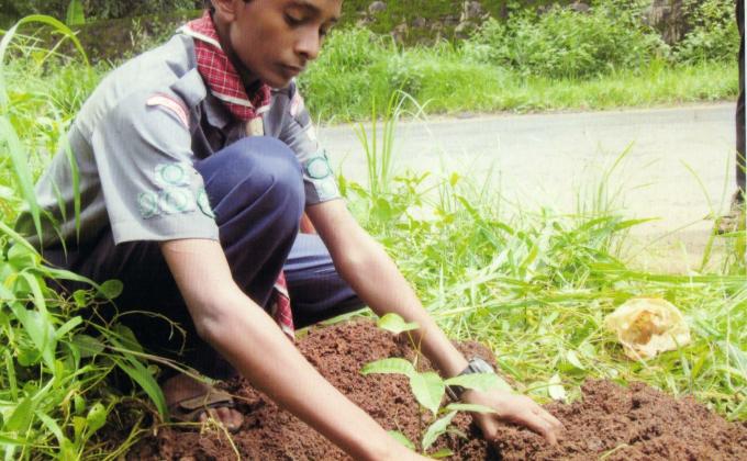 PRESERVATION OF GREENARY