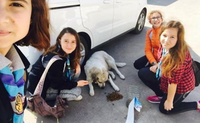 A few work on "Scout is helpful week"