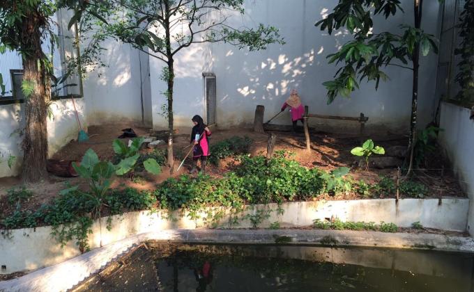 Volunteering at Zoo Negara 2.0