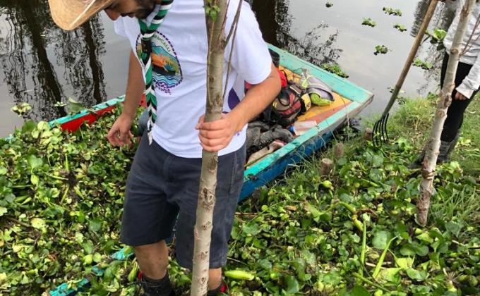 Extracción de lirio en Xochimilco