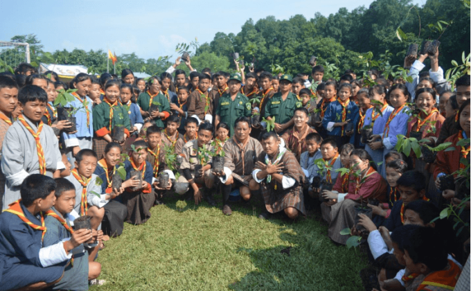 Save Planet by planting tree