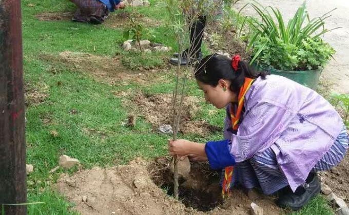 Greening out Bhutan throught collective afford.