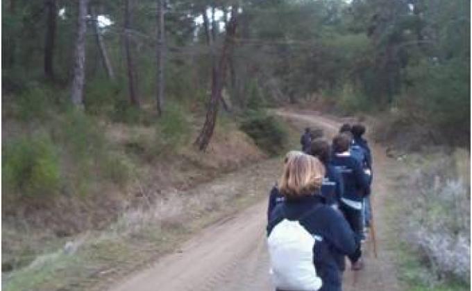 "FOREST CHALLENGES" PROJECT finished