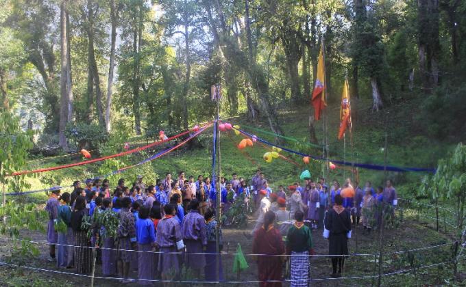 Wilderness Survival Skills