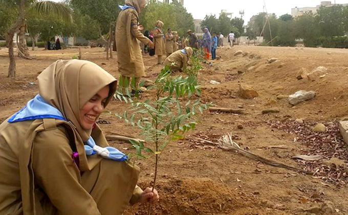 TREE PLANTATION DRIVE 2018