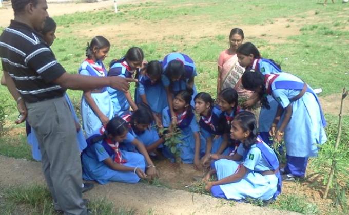 World Environment Day