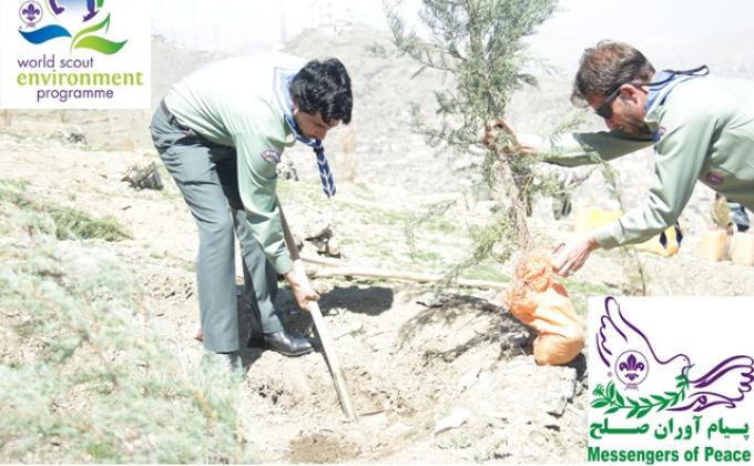 Environmental Protection