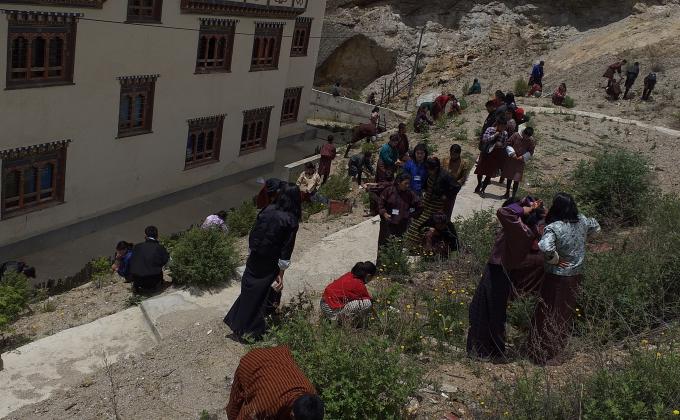 Tree plantation and area adoption