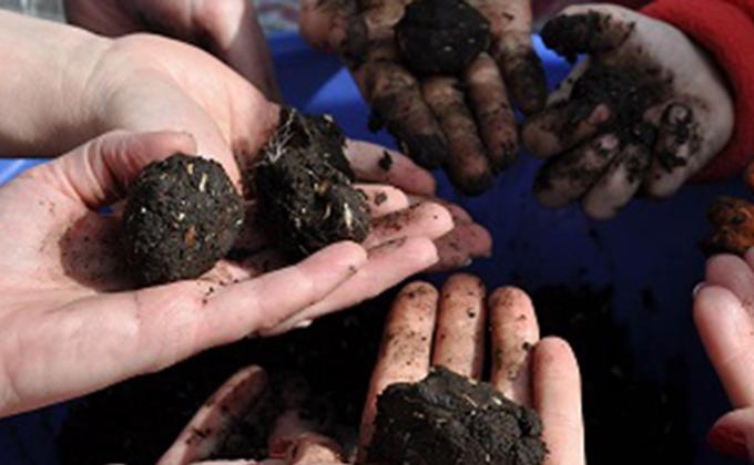 bombas ecologicas mensajeros de la paz