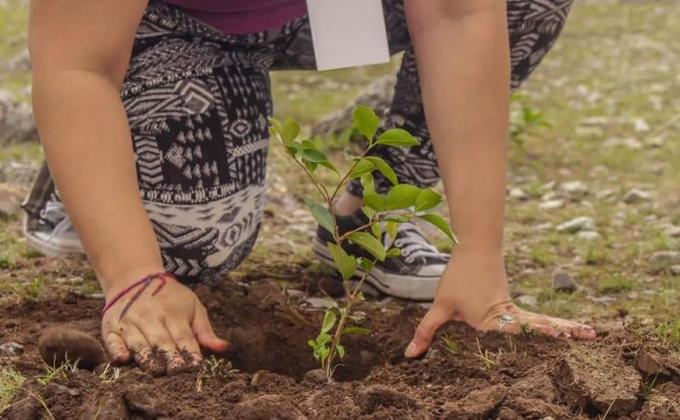 SCOUTS DEL MUNDO-AMANCAYA