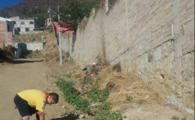 Mares Limpios Oaxaca, Grupo 1