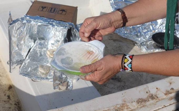 "Solar Cooker" Challenge